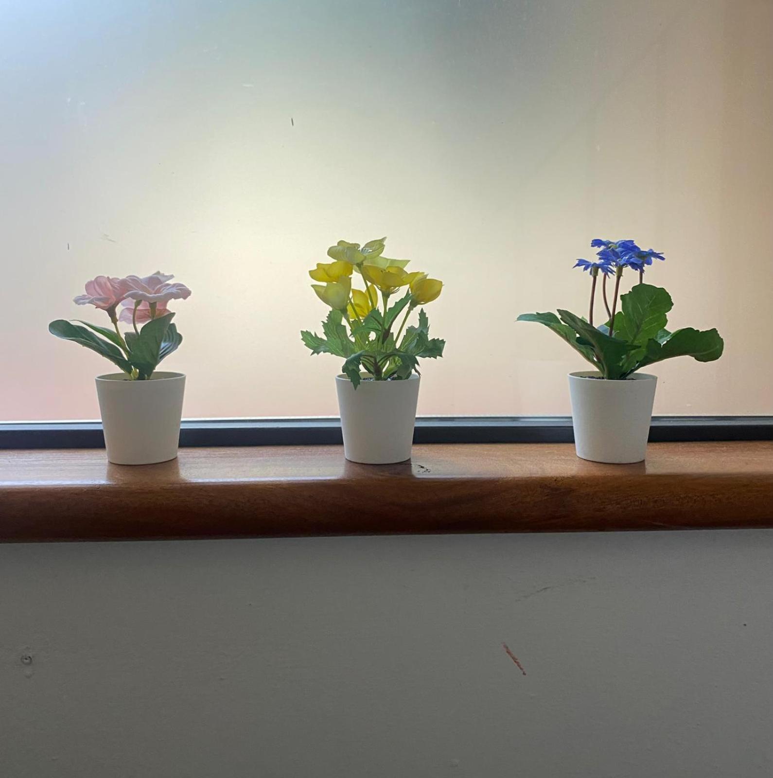 Indipendente Con Giardino Fralu Appartement *